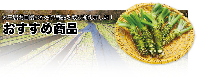 おすすめ商品