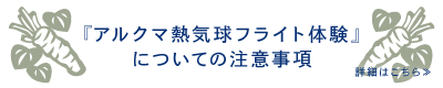 アルクマ熱気球フライト体験