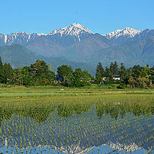 常念岳