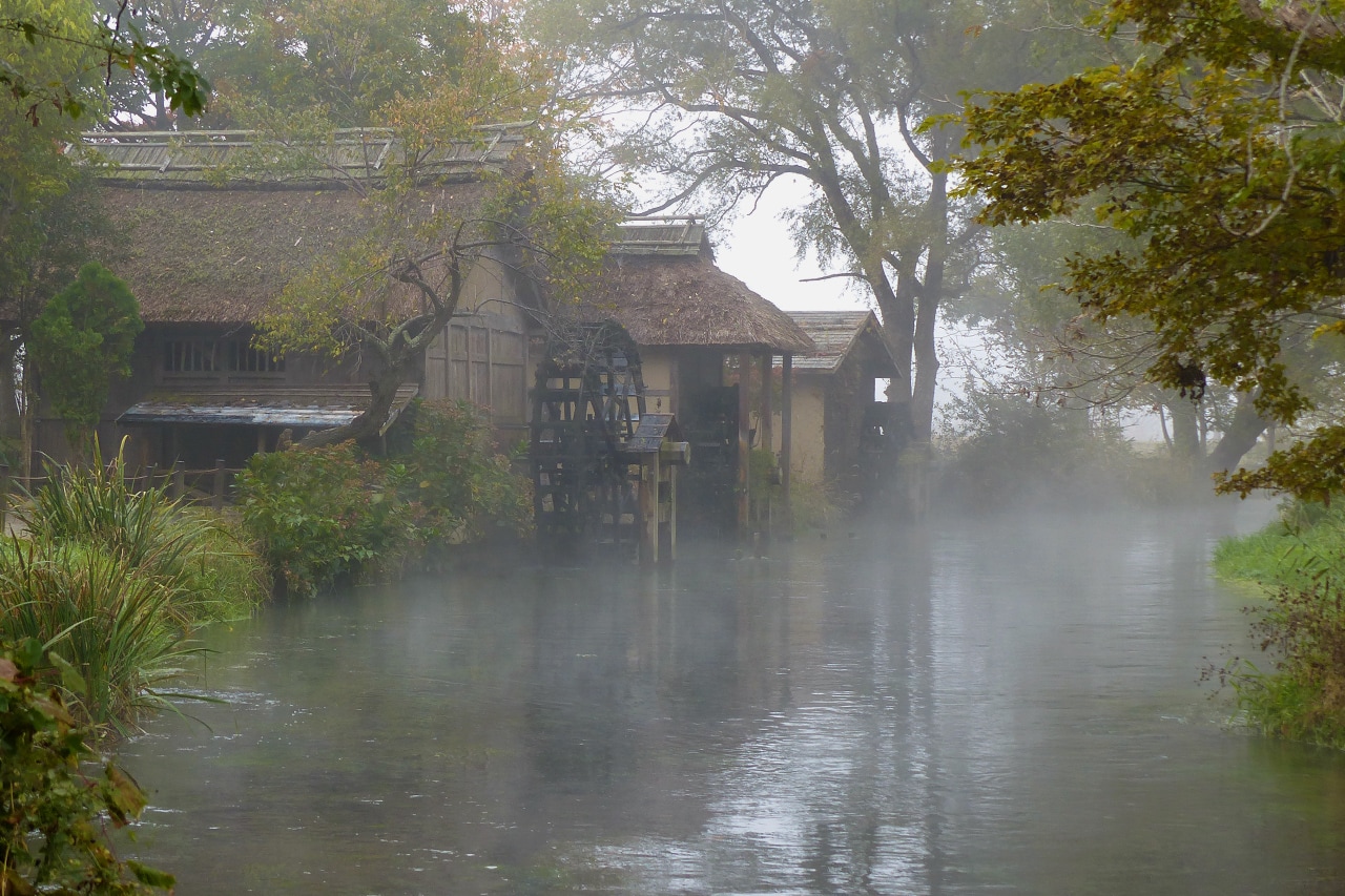 大王わさび農場 信州安曇野に広がる日本一のわさび園