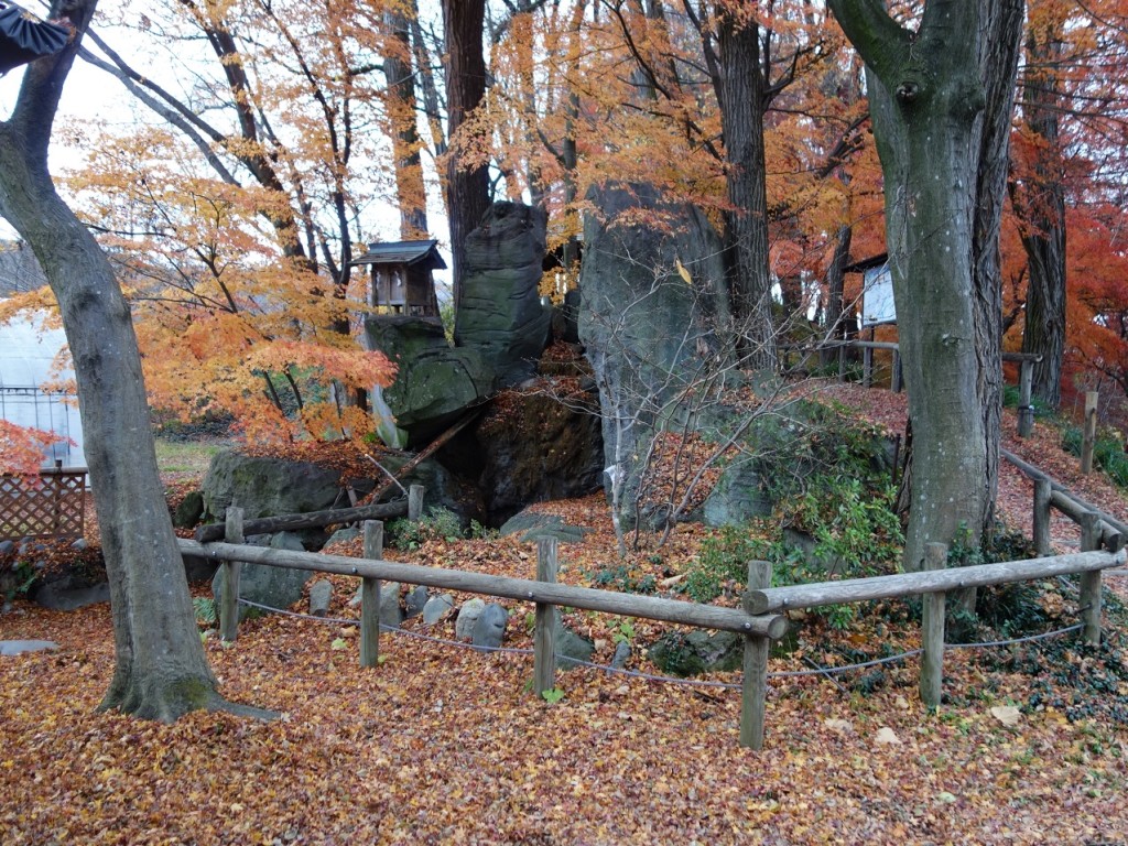 dsc03490