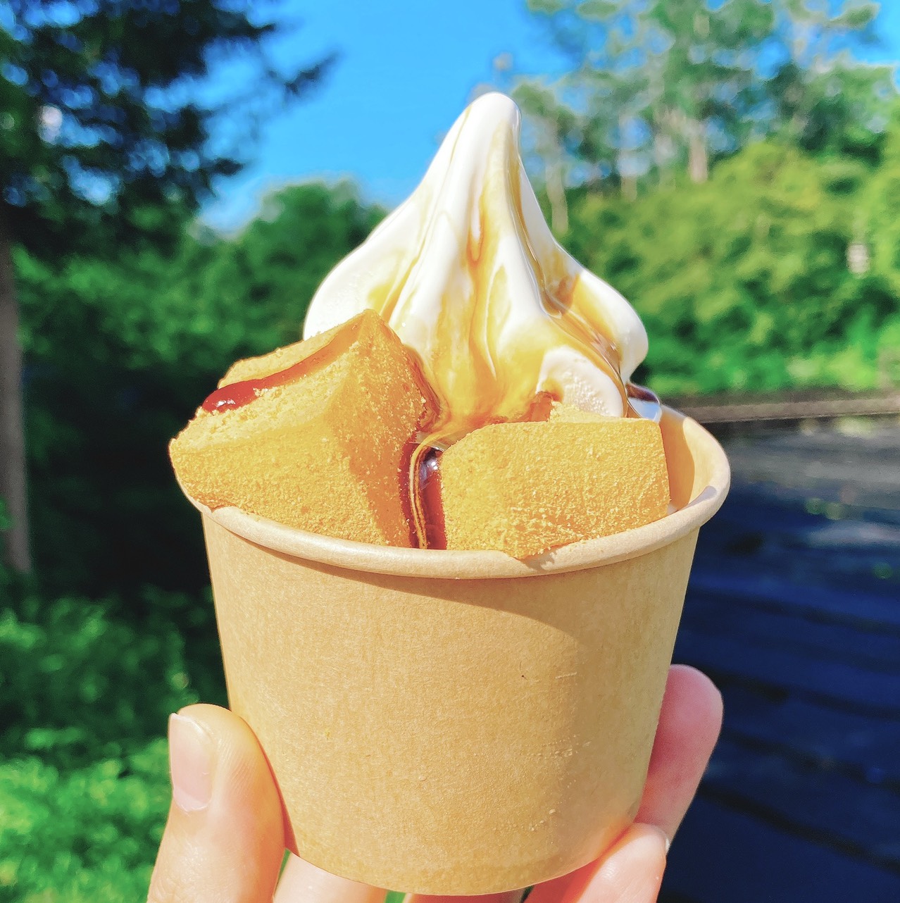 フードコート 和ソフト始めます！ 大王わさび農場